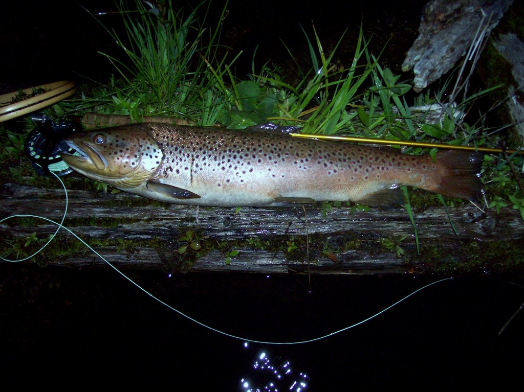 Trout Opener April 27th at the Historical Society Lovells Township in